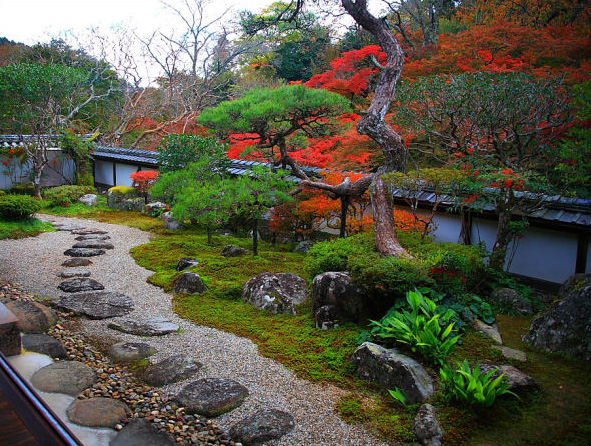 The courtyard landscape 5